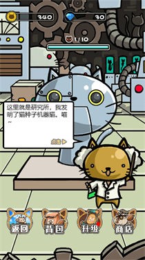 猫咪田田