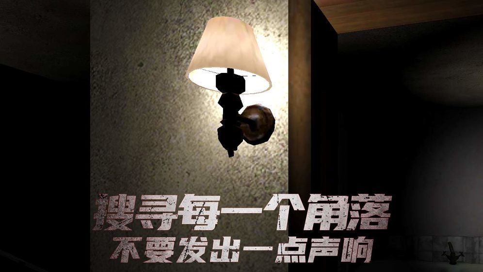 南极洲88