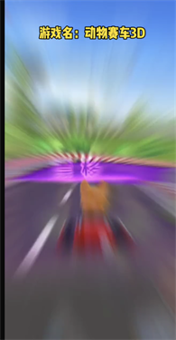 动物赛车3D