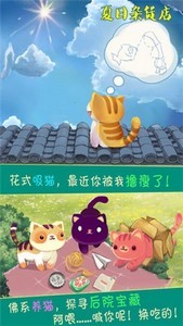 夏日杂货店猫薄荷