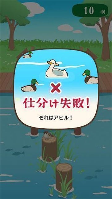 家鸭或野鸭