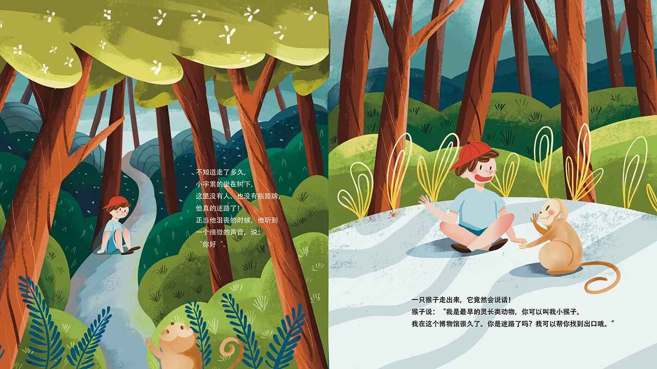 人类的故事