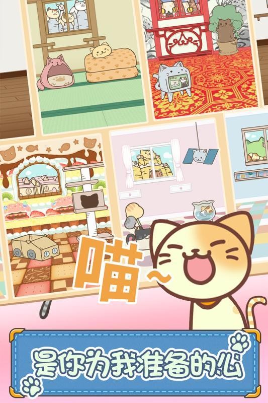 猫咪的毛手游