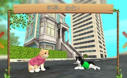 猫咪模拟器中文版