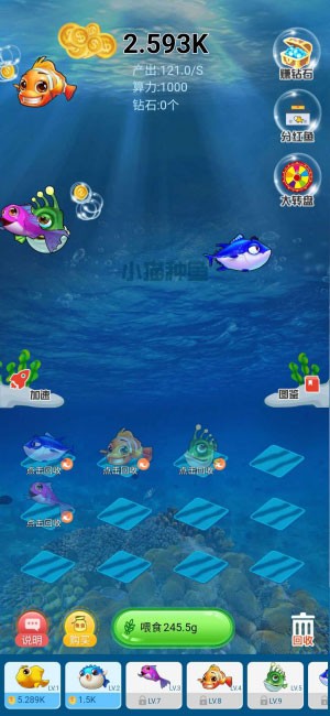 小猫种鱼红包版