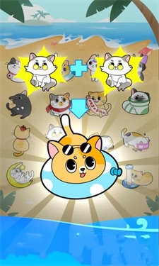 猫乐园