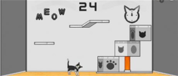 24只猫