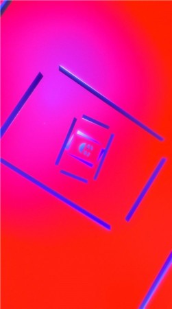 旋转门廊（A Hollw Doorway）