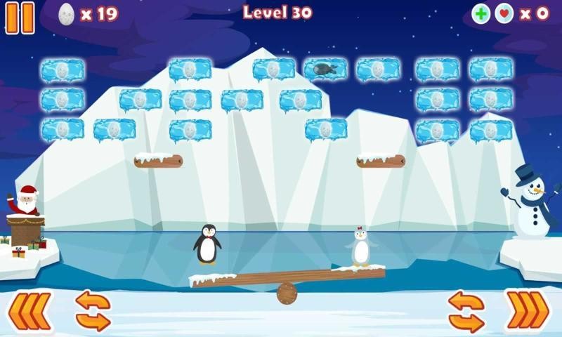 企鹅夫妻Penguin Couple