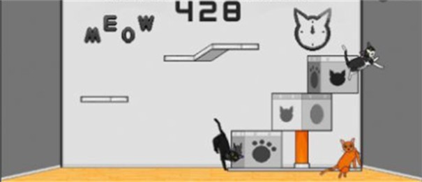 24只猫