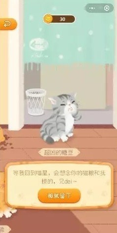 吸猫日记
