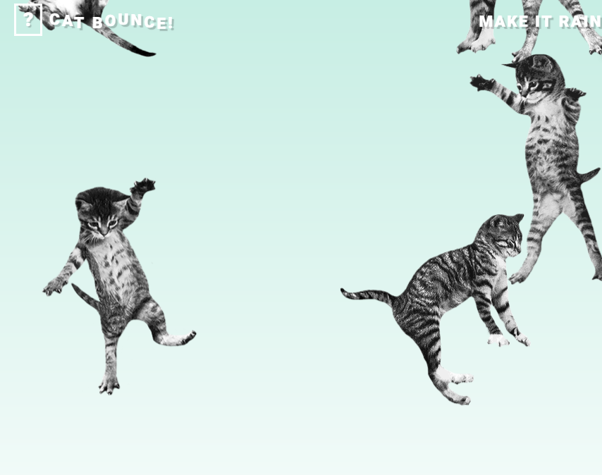 弹跳猫
