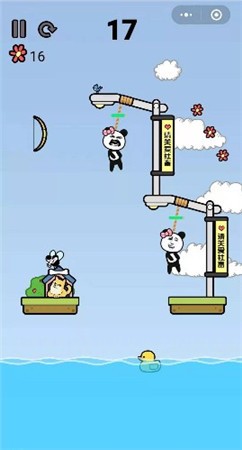 沙雕的迷惑行为