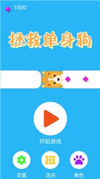 拯救单身狗