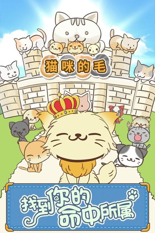 猫咪的毛手游