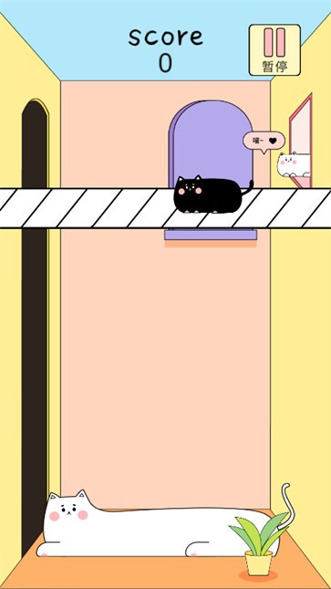 叠猫猫