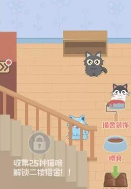 奇妙猫之家