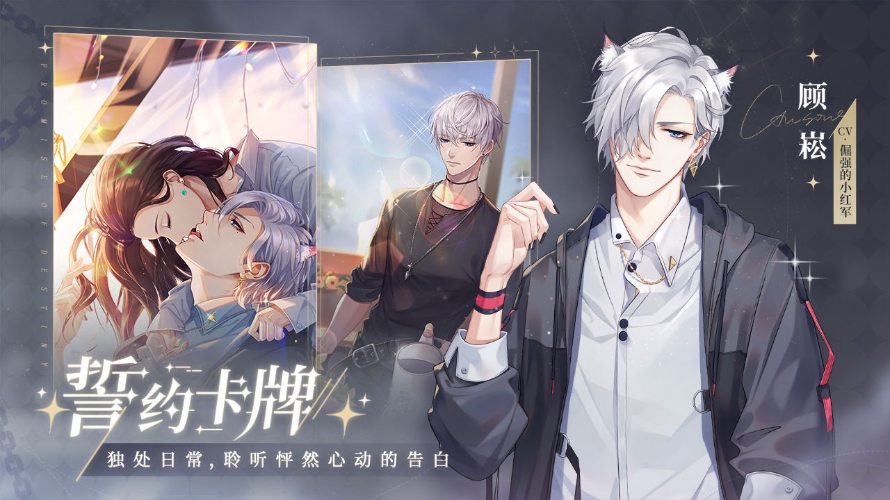 猫之宿约者完整版