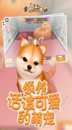 冰火汪汪向前冲
