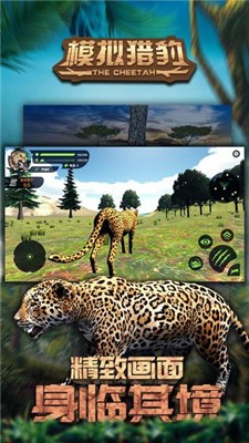 模拟猎豹