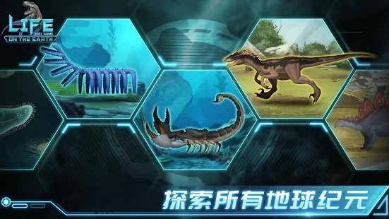 地球上的生命闲置进化