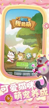 猫猫我最萌