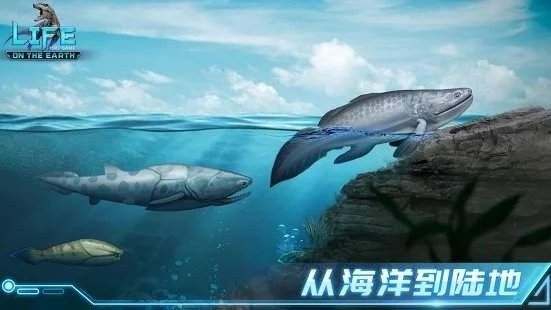 地球上的生命闲置进化