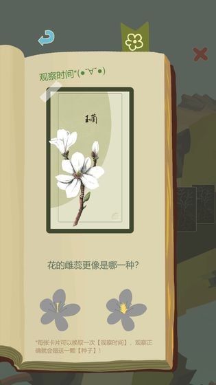 老农种树4.2