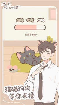 遇见你的猫测试服