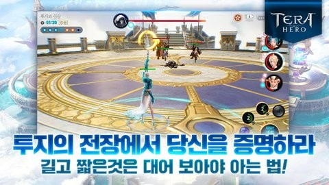 TERA英雄