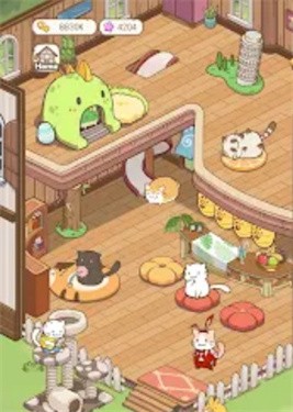 猫咪生活闲置收藏家Cats Life