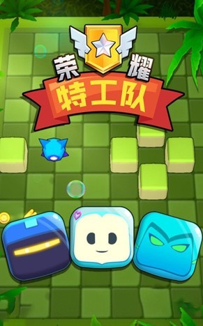 荣耀特工队