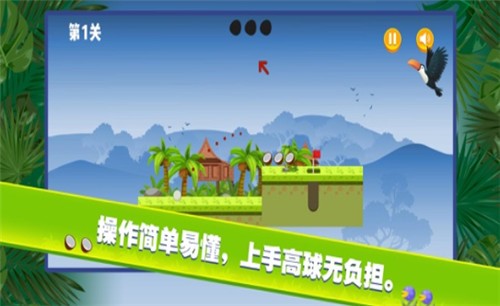 小金雨林球赛