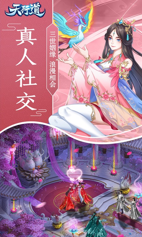 天行道bt版
