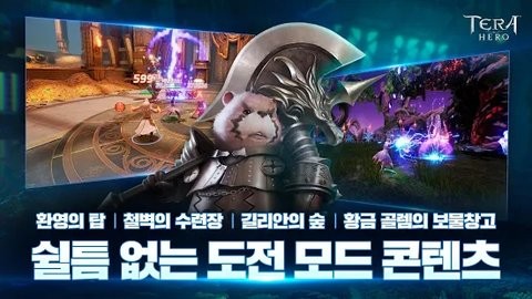 TERA英雄