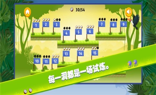 小金雨林球赛