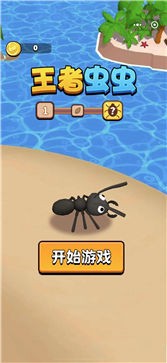 王者虫虫