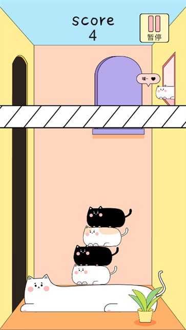 叠猫猫