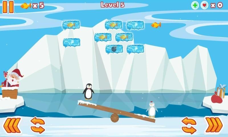 企鹅夫妻Penguin Couple