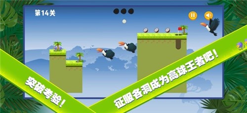 小金雨林球赛