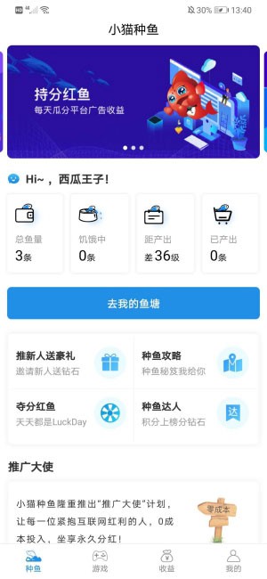 小猫种鱼红包版
