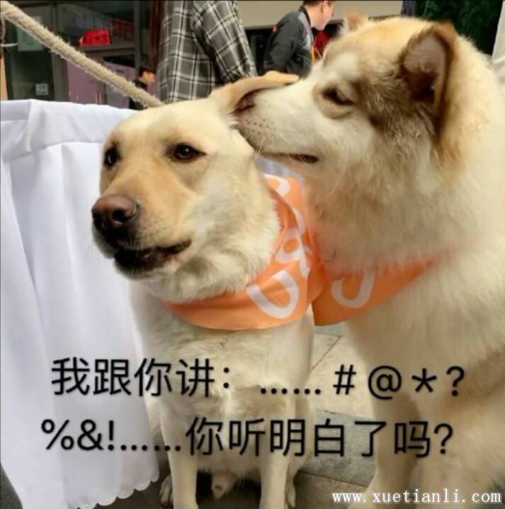 香肠派对基础教学篇