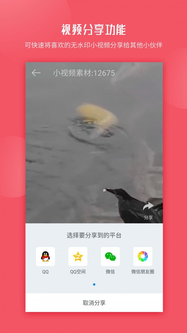 小视频无水印工具