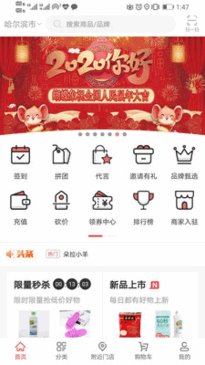 蝴蝶象