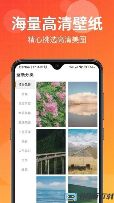 壁纸盒子纯净版app