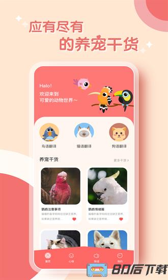 鹦鹉翻译器免费版