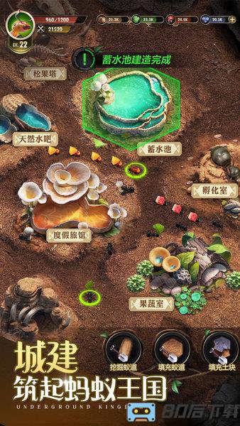 小小蚁国最新版本