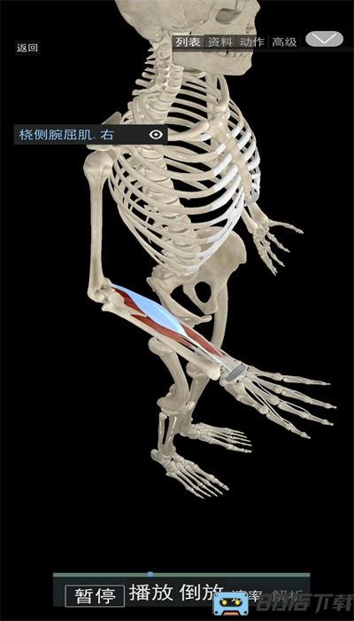 3d动态解剖手机版免费