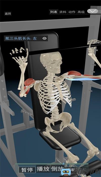 3d动态解剖手机版免费