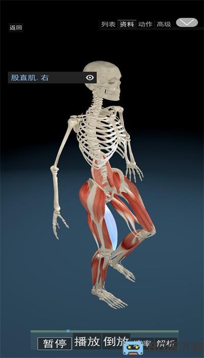 3d动态解剖手机版免费